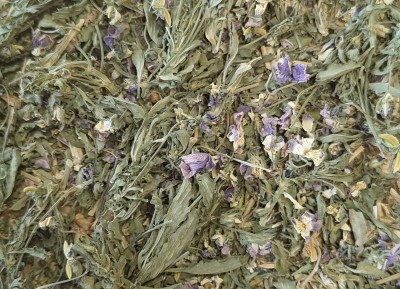 Pensée Sauvage Bio Partie Aérienne Coupée France (Local)