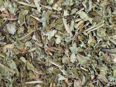 Pissenlit Bio Feuille Entière