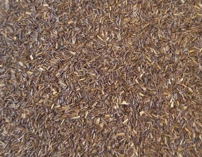 Rooibos Bio Feuille Coupée