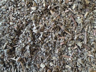 Bouillon Blanc Bio Sommité Fleurie Coupée