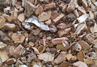 Bouleau Bio Ecorce Coupée