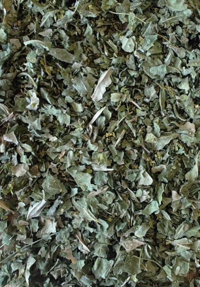 Alchemille Bio Partie Aérienne Coupée