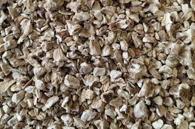 Chicorée Bio Racine Coupée France