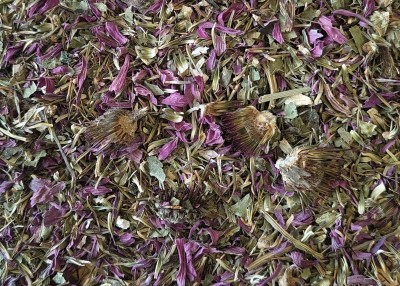 Echinacea Bio Partie Aérienne Coupée France (Local)