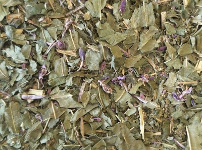 Epilobe Bio Partie Aérienne Coupée