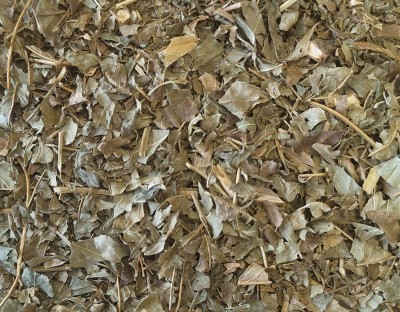 Frêne Bio Feuille Coupée 