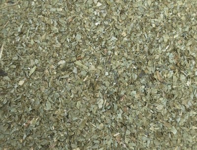 Livèche Bio Feuille Coupée