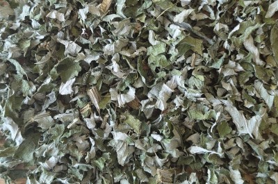 Artichaut Bio Feuille Entière France (Local)