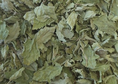 Mélisse Bio Feuille Entière France (Local)