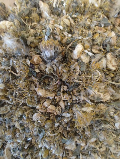 Digestion ensoleillée